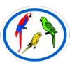 Araras, papagaios e periquitos