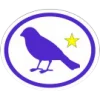 Aves — avançado