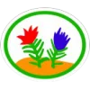 Briófitas