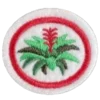 Bromélias