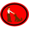 Cães — cuidado e treinamento