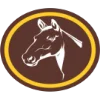 Criação de cavalos