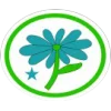 Flores — avançado