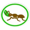 Formigas