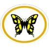 Mariposas e borboletas