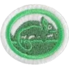 Mimetismo e camuflagem