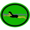 Natação principiante I