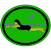 Natação principiante II