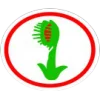 Plantas carnívoras