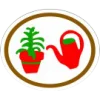 Plantas caseiras