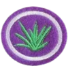 Plantas medicinais