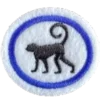Primatas