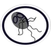 Protozoários