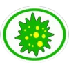 Vírus